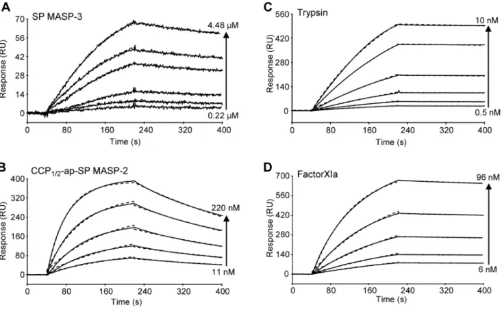 Table 3. Kinetic and dissociation constants for the interaction of selected proteases with immobilized ecotin.