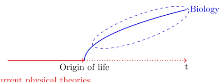 Figure 1: A scheme of the relation between physics and biology, from a diachronic point of view.