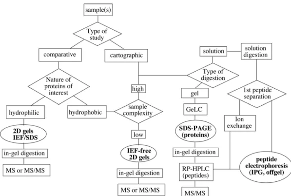 Figure 8: Tentative decision tree for proteomics studies 