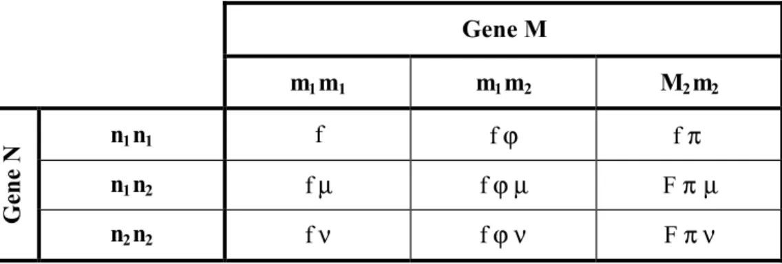 Table 2. Penetrance matrix of the restricted model M R  without interaction. The lines and the  columns represent the three genotypes at locus M and N, respectively with parameter f for the  genotype m 1 m 1  n 1 n 1  and the proportionality factors, µ, ν 