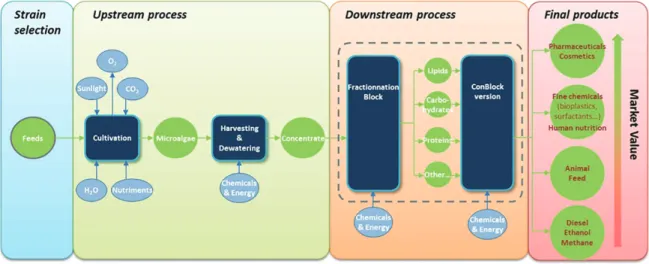 Fig. 1. Representation of the biorefinery concept applied to the valorization of microalgae raw materials 