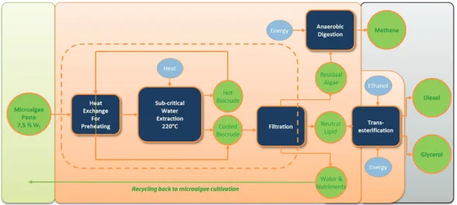 Fig. 5. Process flow diagram of algal biodiesel production system, adapted from [44] 