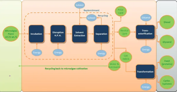 Fig. 6. Flow chart of the CIDES FRACTIONNATION PROCESS: Concentration, Incubation, Disruption, Extraction, Separation; adapted from  [47]