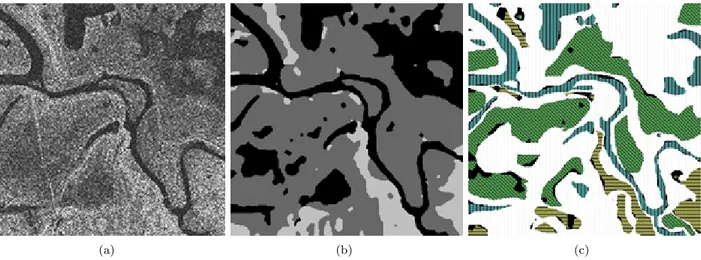 Figure 1: TSX2. HH polarization (a), full CoDSEM-classification map (b) (black - water, grey - wet soil, white - dry soil), and map of correct classification (c) referenced to nonexhaustive GT (white - outside GT, correctly classified water