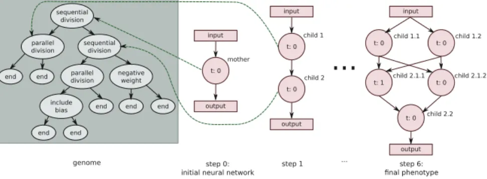Fig. 8 Simple example of a neural network generated via cellular encoding (adapted from [103]).