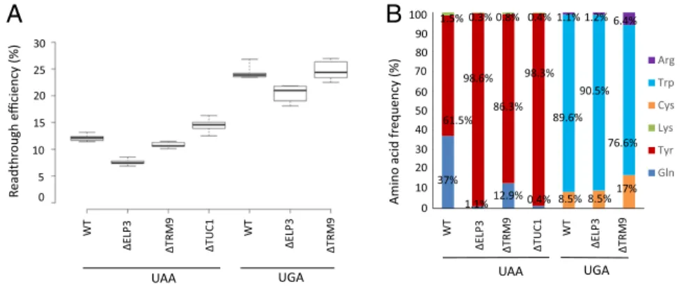 Fig. 2. Consequences on stop codon suppression of deletion genes coding for U34 modification in  vari-ous tRNAs