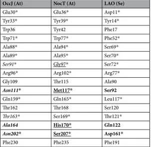 Table 3.  Comparison of residues at the binding site of A. tumefaciens (At) OccJ and NocT and S