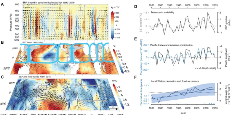 Fig. 2. Intensification of the equatorial Walker circulation and increased flooding in Amazonia