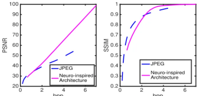 Fig. 6. Comparison between the proposed neuro-inspired end-to-end archi- archi-tecture and the JPEG standard.