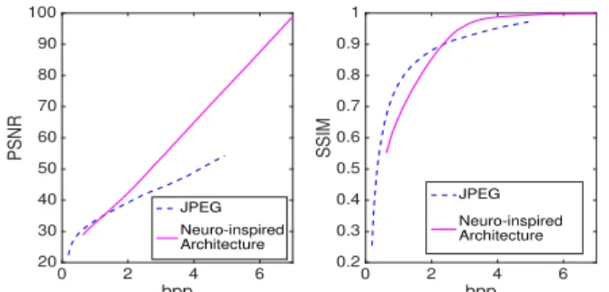Fig. 6. Comparison between the proposed neuro-inspired end-to-end archi- archi-tecture and the JPEG standard.