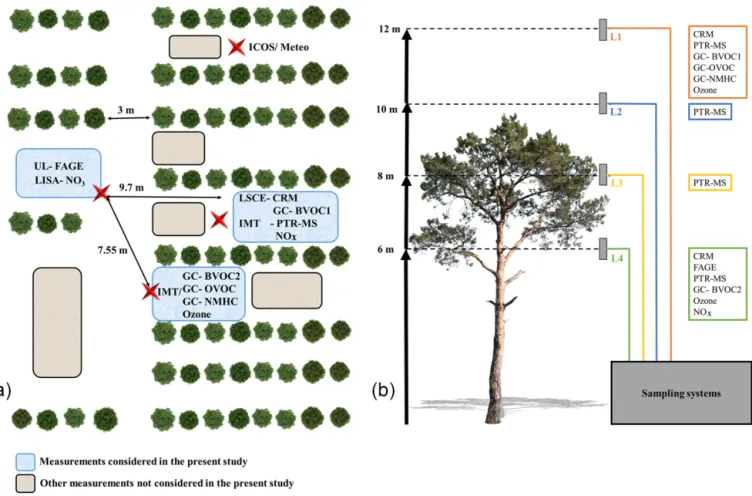 Figure 1. Deployment of instruments at the measurement site. (a) The horizontal deployment and (b) the different sampling levels with respect to the average tree height.