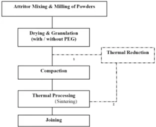 Figure 1 : Processing routes for FGM  materials 