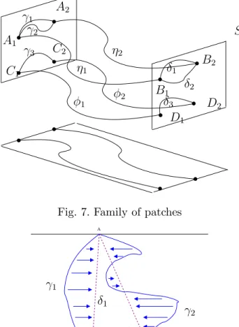 Fig. 7. Family of patches