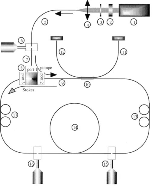 Figure 1: Experimental set-up: (1): diode pumped YAG:Nd +++ cw laser (1.319 µm, 340 mW); (2): Faraday isolator: (3): half-wave plate; (4): coupling lens; (5): coupling fiber; (6): microhandler; (7): input fiber; (8): 3-port optical circulator; (9): up-stre