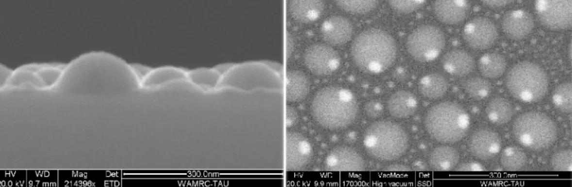 FIG. 2: Upper panel: SEM experiments: cross-section (secondary electron image) and planar view of the  sample (back-scattered electrons image)