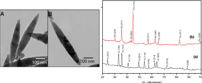 Figure 1. TEM pictures of (A) α-Fe 2 O 3  and (B) α-Fe(0) NPs. X-ray diffraction patterns of α-Fe 2 O 3  (a) and α-Fe(0) NPs (b),  where planar peaks are hematite (H), iron (Fe) and magnetite (M)