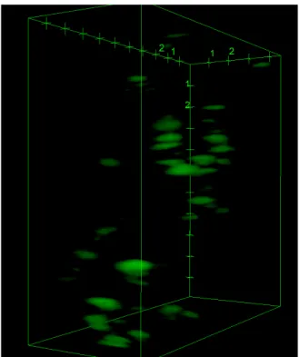 Figure 5. Confocal microscopy 3D-picture of Fe@Au-S-  PEG 5000  (FITC) NPs in emission mode (green channel)