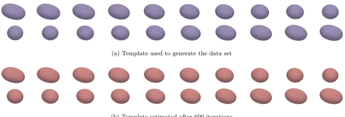 Figure 1: The piecewise shape model: Reconstruction of the template. Evolution of the template over time