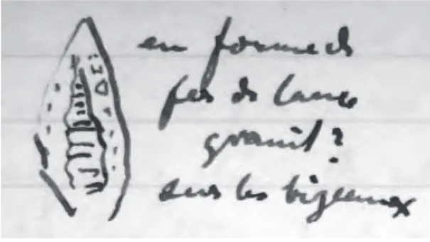 Fig. 8. Inscription  libyco-berbère  relevée à  ‡ assi 