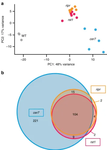 Fig. 8 Loss of RST1 or RIPR results in the accumulation of small RNAs that are also produced in cer7 mutants a Multidimensional scaling plot illustrating global variance and similarities between the 21/22 nt small RNA populations detected in the replicates