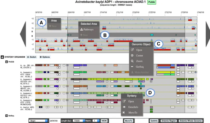 Figure 2. Overview of MicroScope Genome Browser. A 70-kb chromosomal segment from Acinetobacter baylyi ADP1, starting at position 2676709, is represented on this graphical map of the MicroScope Genome browser