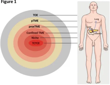 Figure 1: The multiple layers of the tumor environment. 