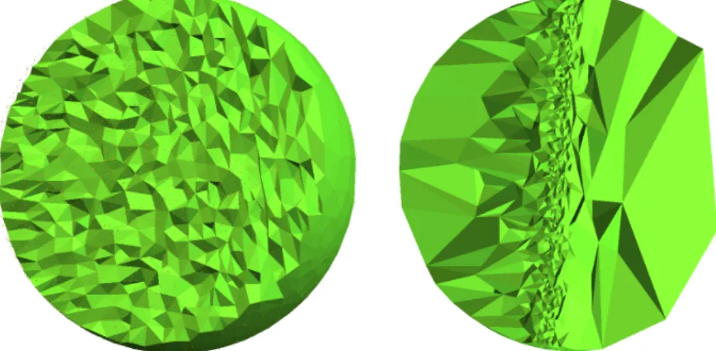 Figure 5: Two examples of anisotropic meshes produced by our algorithm.