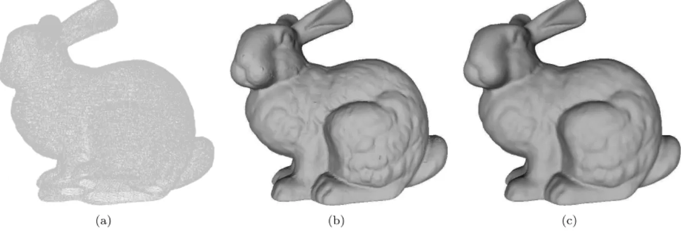 Figure 13: In (a), the Stanford Bunny dataset (362,272 points) is presented. Note in (b) how the recovered surface is quite bumpy near noisier areas