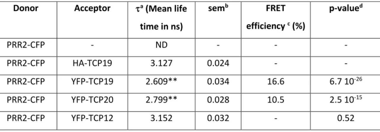 Table 1.  FRET-FLIM measurements indicate that PRR2 selectively interacts with TCP19 and  TCP20 in the nucleus of plant cells