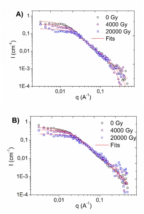 Figure 3. SANS spectra of (A) PMAA-AuNPs and (B) P(HEMA-MAA)-AuNPs, before and  after irradiation