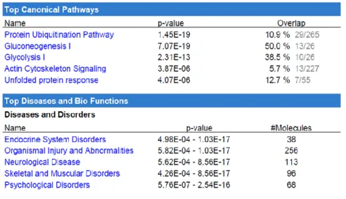 Table 1: Top five canonical pathways and top five diseases associated with the urano-proteome, as analyzed by  IPA