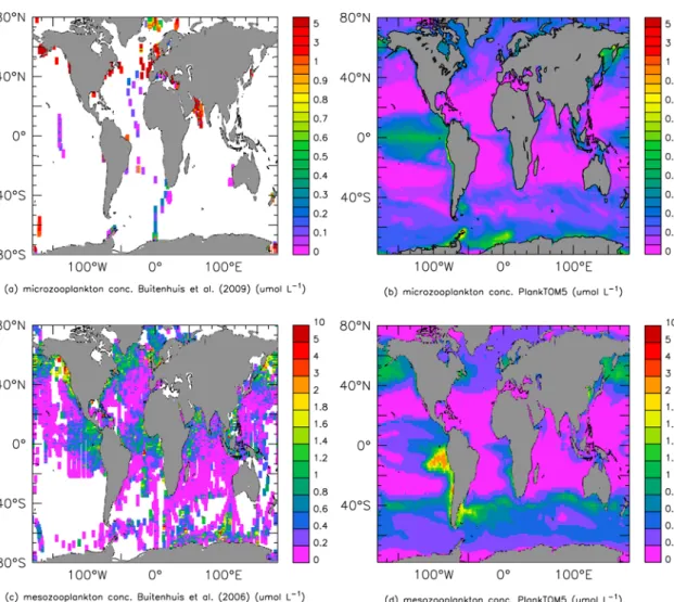 Table 4. Statistical Assessment of Global Annual Mean Surface DMS Concentrations a Statistical Quantity Kettle andAndreae [2000] (nM) PlankTOM5(SEP) (nM) SNEP(nM) SENP(nM) NSENP(nM) Global maximum DMS 26.57 5.92 15.15 5.65 6.91 Global minimum DMS 0.00 0.54