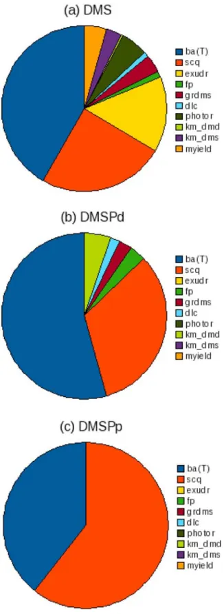 Figure 6. Sensitivity of DMS‐PlankTOM5 (SEP) to a per- per-turbation in parameter space by +50% on global average (a) DMS (b) DMSPd, and (c) DMSPp