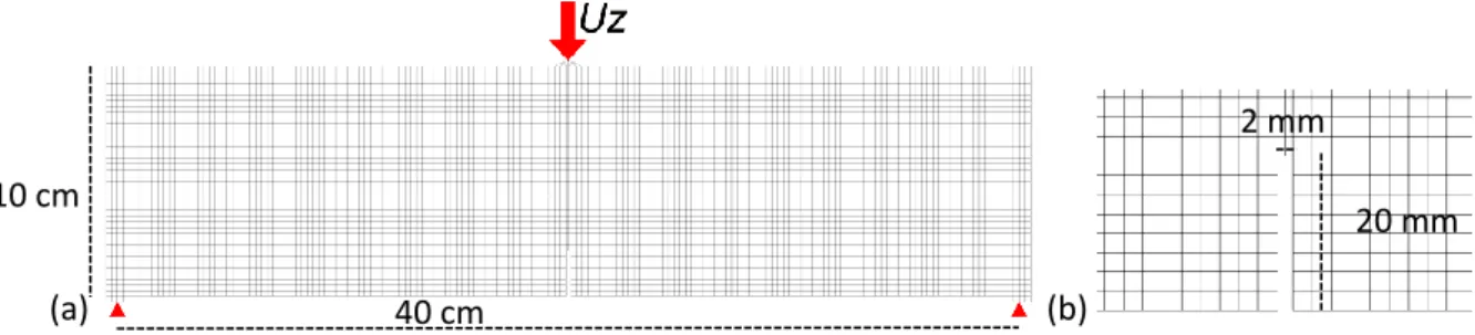 Figure 8 : a: Mesh of the 2D notched beam (40x10 cm), with boundary and loading conditions