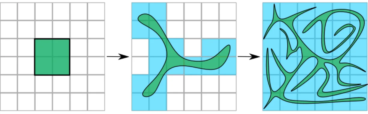 Figure 2: Coarse-graining versus Liouville’s theorem. As in figure 1, space is represented schemati- schemati-cally in 2 dimensions