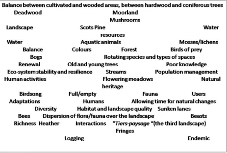 Figure 1. Biodiversity in the stakeholders’ own words. The words are indicated at ran- 