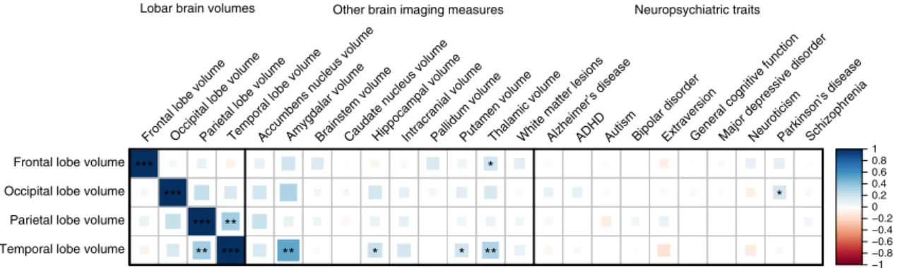 Fig. 3 Genetic correlation between lobar brain volumes and other brain imaging measures and neuropsychiatric traits