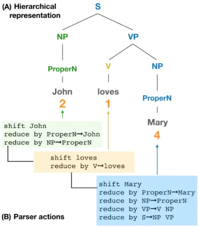 Figure 2. Panel (A) depicts hierarchical structure for John loves Mary to be recognised via processes of syntactic com- com-position with the word-by-word parser action counts given in orange