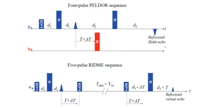 Fig. 1 Pulse schemes for the four-pulse PELDOR and five-pulse RIDME experiments.