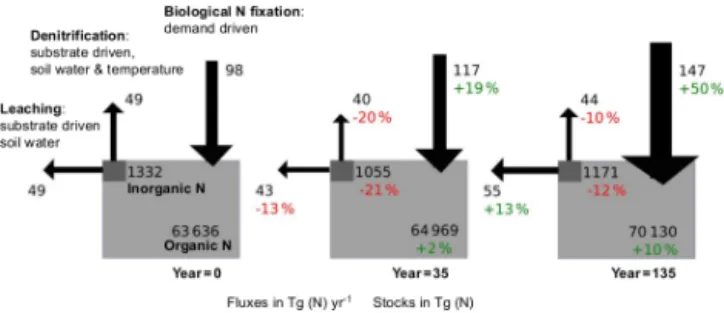 Figure 5. The terrestrial nitrogen balance during the fully “cou- “cou-pled” simulation