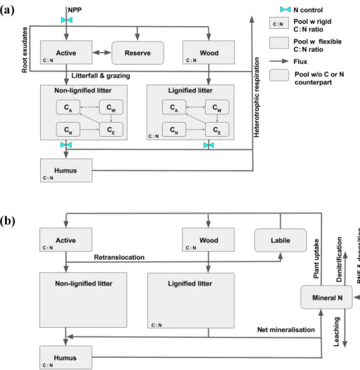 Figure 1. Schematic representation of carbon (a) and nitrogen (b) cycling in JSBACH. Vegetation is represented by four pools: “active”