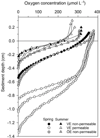 Figure 4. Ratio of particulate C : N ratio plotted against the ratio of POC : Chl a in the BBL of the Vistula (VE) and Öre (ÖE) estuaries in spring and summer