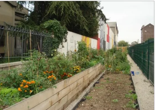 Figure 4: Cristino Garcia collective garden in Saint-Denis, north of Paris. Photo by  the authors, 2013