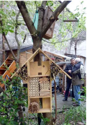 Figure 3 – Hôtel à insectes et nichoir dans un arbre des Petits Prés Verts (Aubervilliers) Source : Kaduna-Ève Demailly, avril 2012.