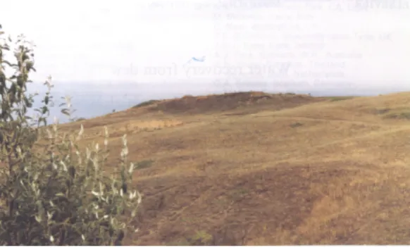Figure 1: Present state of a tumulus which was thought to be an Early Greek condenser