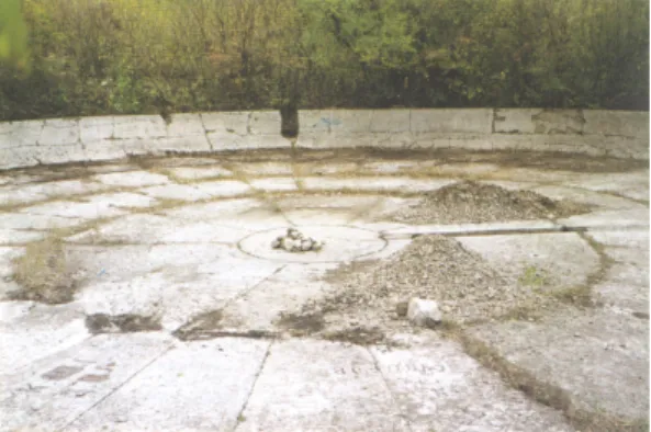 Figure 3: The present state of the remnants of the Zibold condenser.