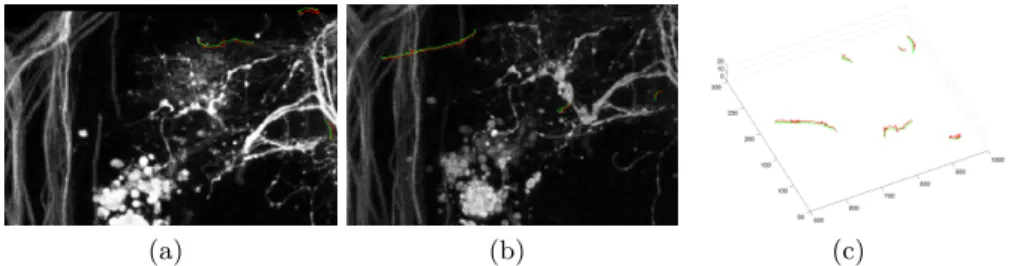 Fig. 5. Visual comparison between the tracking results of the proposed method and the manually created ground truth in 2D and 3D