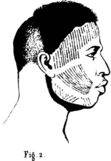 Figure 3 – Portrait de Braz ou Adam « haoussa : marque de Java, pays de  Zozo ou Zaria » 31