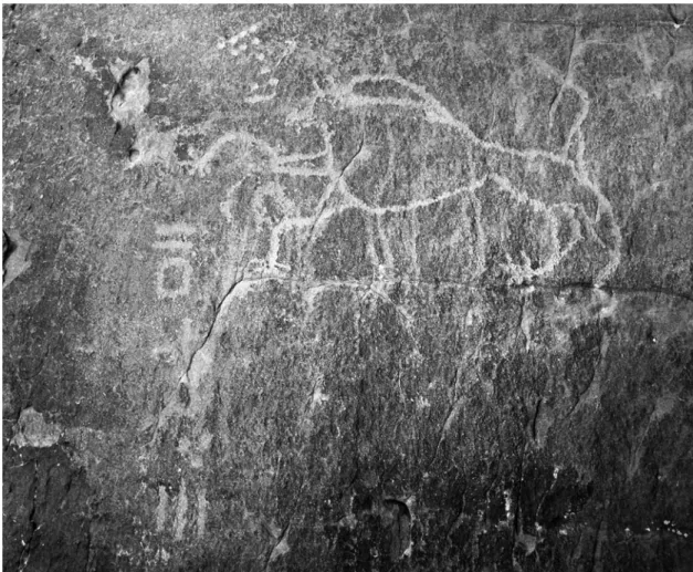 Fig. 18. Lion et  inscriptions gravés  à Wa-n-Ekli,  dans la Tadrart.