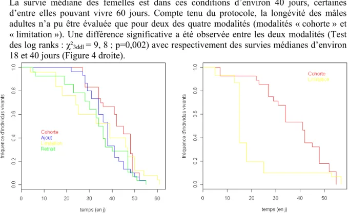 Tableau 4 :  Influence du prototype, des cylindres et des dates d’expérimentation sur le nombre total de  descendants et sur la proportion de femelles